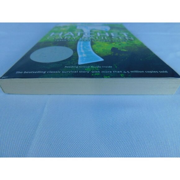 Hatchet Gary Paulsen Survival Adventure Paperback Book Newbery Honor Award Win - Picture 2 of 7